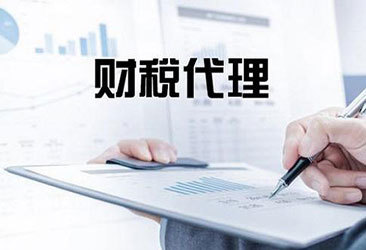 政府代理会计(政府代理会计是做什么)