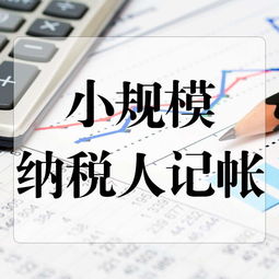 享受小规模纳税人地方税种和相关附加减征政策,需不需要报送资料