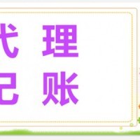 武汉市武昌区会计代理记账服务