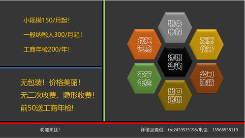 代理记账