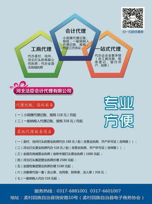 专业会计代理记账服务 法臣会计助力孟村企业高效发展