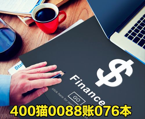 小店铺创业利器 智能财务记账与税务服务软件